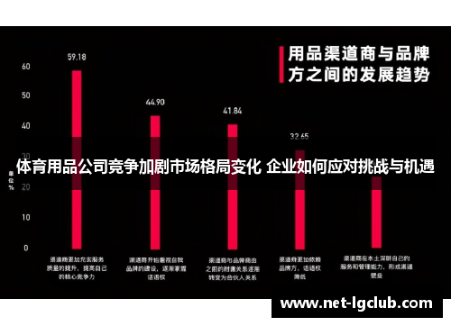 体育用品公司竞争加剧市场格局变化 企业如何应对挑战与机遇