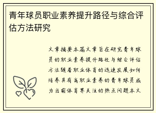 青年球员职业素养提升路径与综合评估方法研究