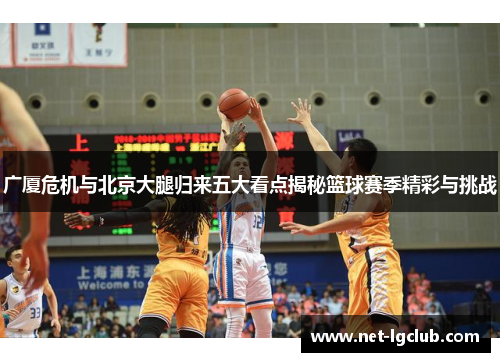 广厦危机与北京大腿归来五大看点揭秘篮球赛季精彩与挑战