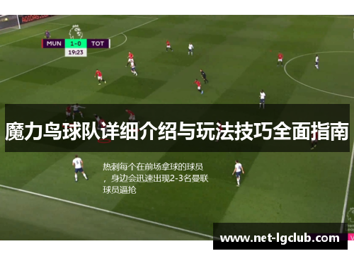 魔力鸟球队详细介绍与玩法技巧全面指南