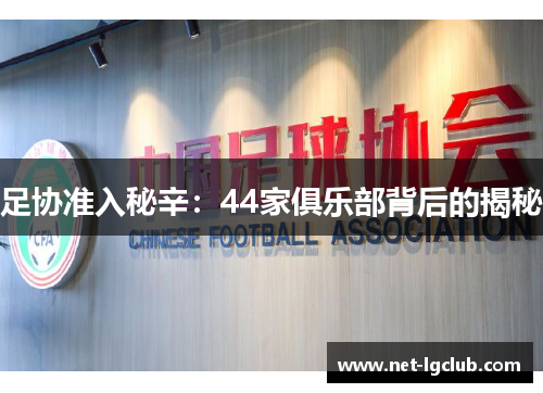 足协准入秘辛：44家俱乐部背后的揭秘