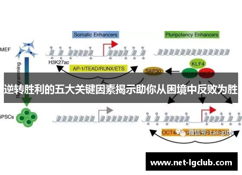 逆转胜利的五大关键因素揭示助你从困境中反败为胜