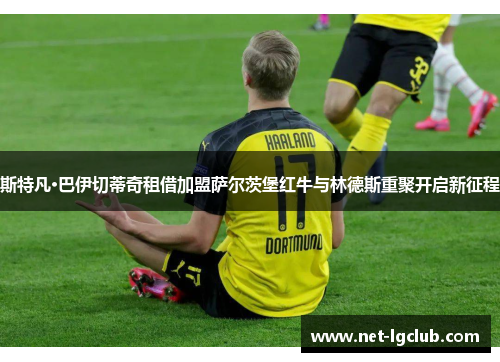 斯特凡·巴伊切蒂奇租借加盟萨尔茨堡红牛与林德斯重聚开启新征程 斯特凡·巴伊切蒂奇租借加盟萨尔茨堡红牛与林德斯重聚开启新征程