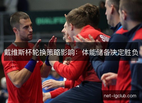 戴维斯杯轮换策略影响:体能储备决定胜负 戴维斯杯轮换策略影响:体能储备决定胜负